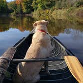 Review photo of Merwin Creek State Forest Campground by Michael M., October 8, 2021