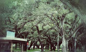Camping near Easterlin Park Campground: Topeekeegee Yugnee Park Campground, Hollywood, Florida