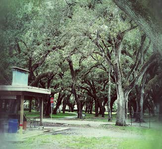 Camper-submitted photo from Oleta River State Park Campground