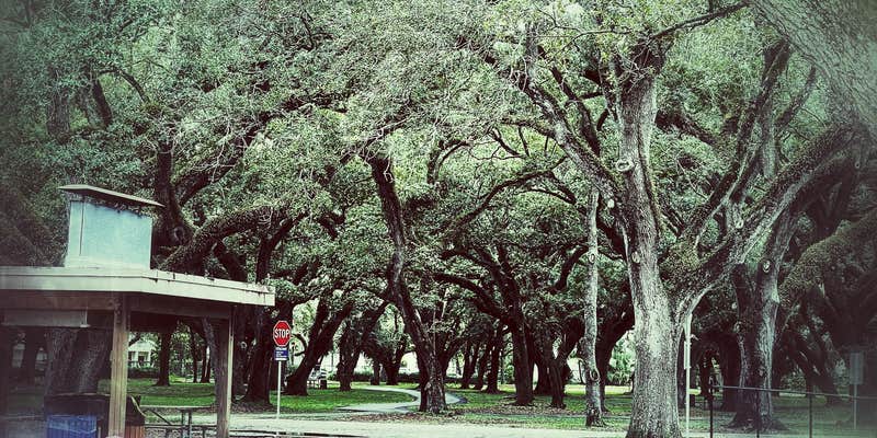 Camper submitted image from Topeekeegee Yugnee Park Campground