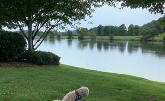 Michael F.'s photo of camping with pets at Two Rivers Landing RV Resort near Knoxville, TN
