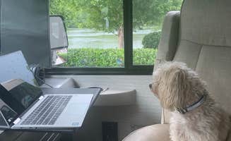 Michael F.'s photo of camping with pets at Two Rivers Landing RV Resort near Pigeon Forge, TN