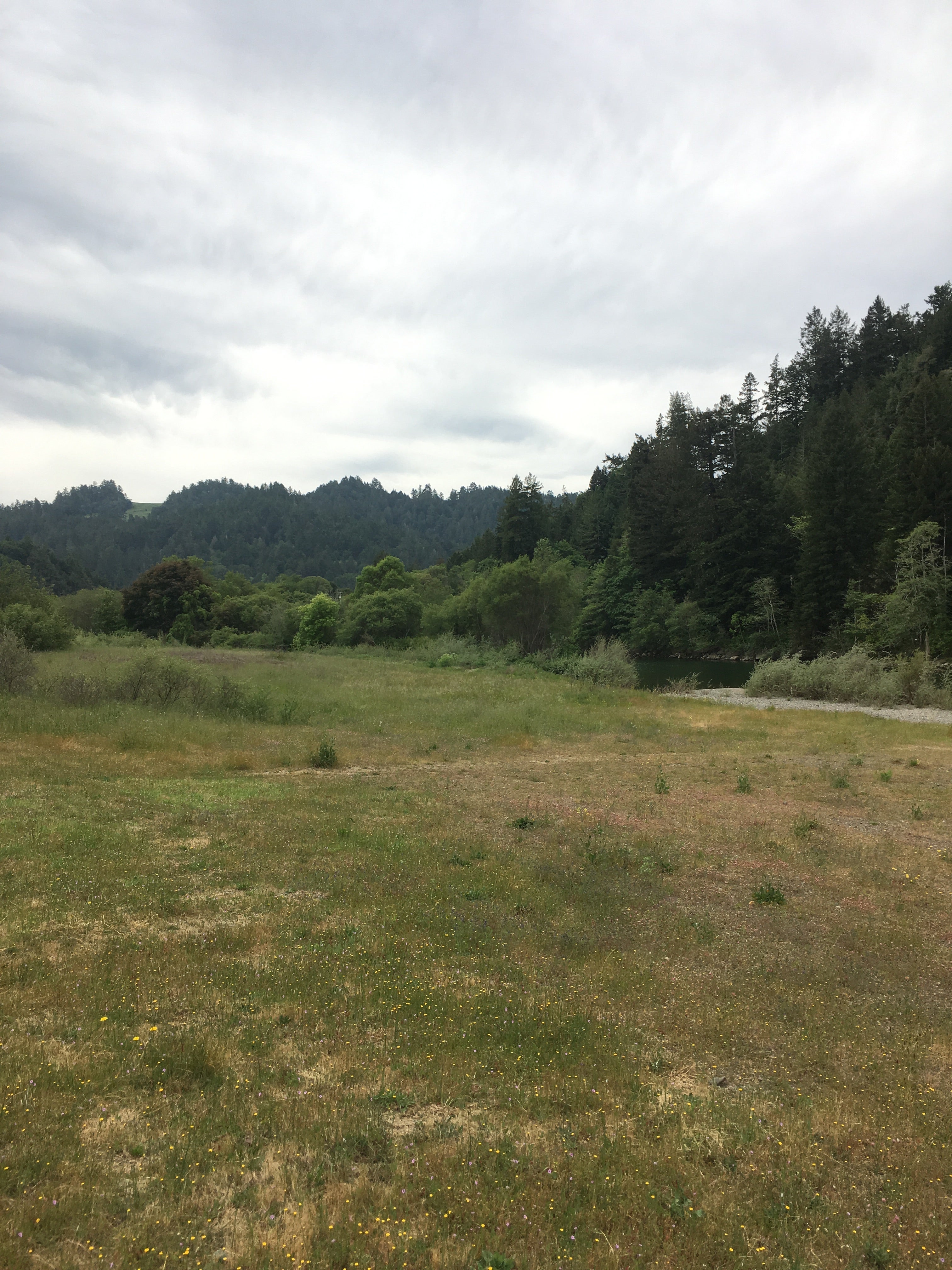 Camper submitted image from Casini Ranch Family Campground - 2