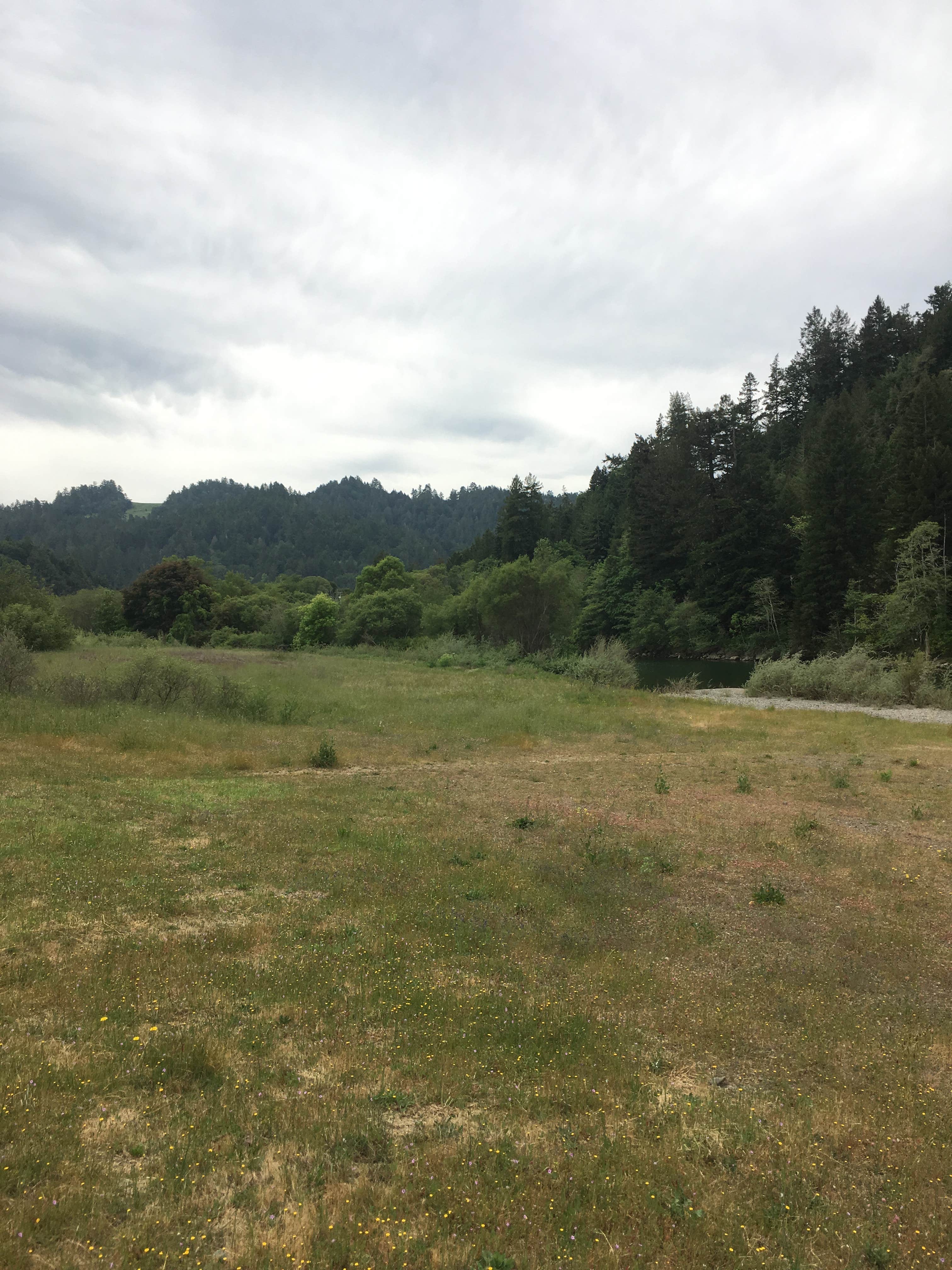 Camper submitted image from Casini Ranch Family Campground - 2