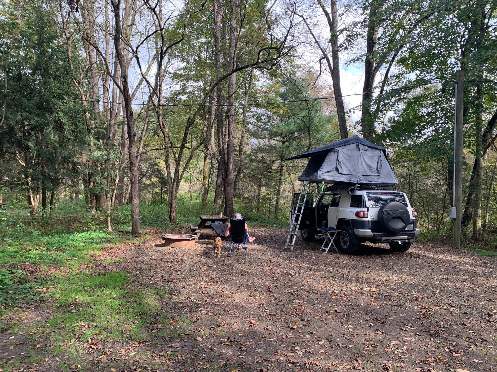 Georgina's photo at Kelly Pines Campground near Penfield, PA