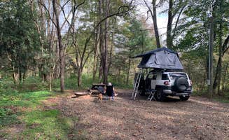 Georgina's photo at Kelly Pines Campground near Sigel, PA