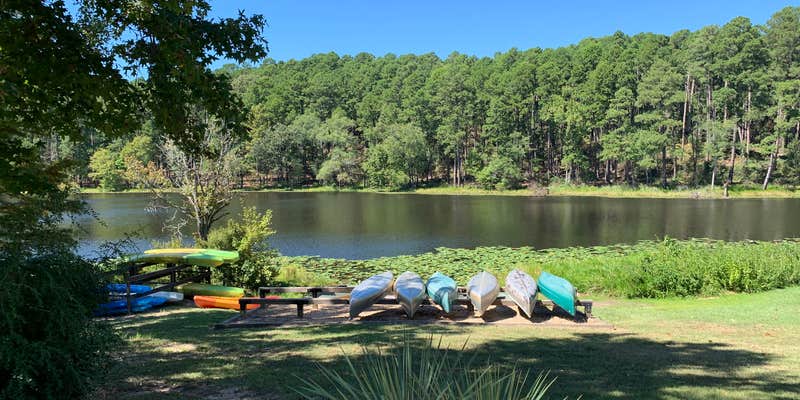 Camper submitted image from Daingerfield State Park Campground