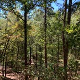 Review photo of Daingerfield State Park Campground by Georgina , October 8, 2021