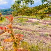 Review photo of Letchworth State Park Campground by sam T., October 8, 2021