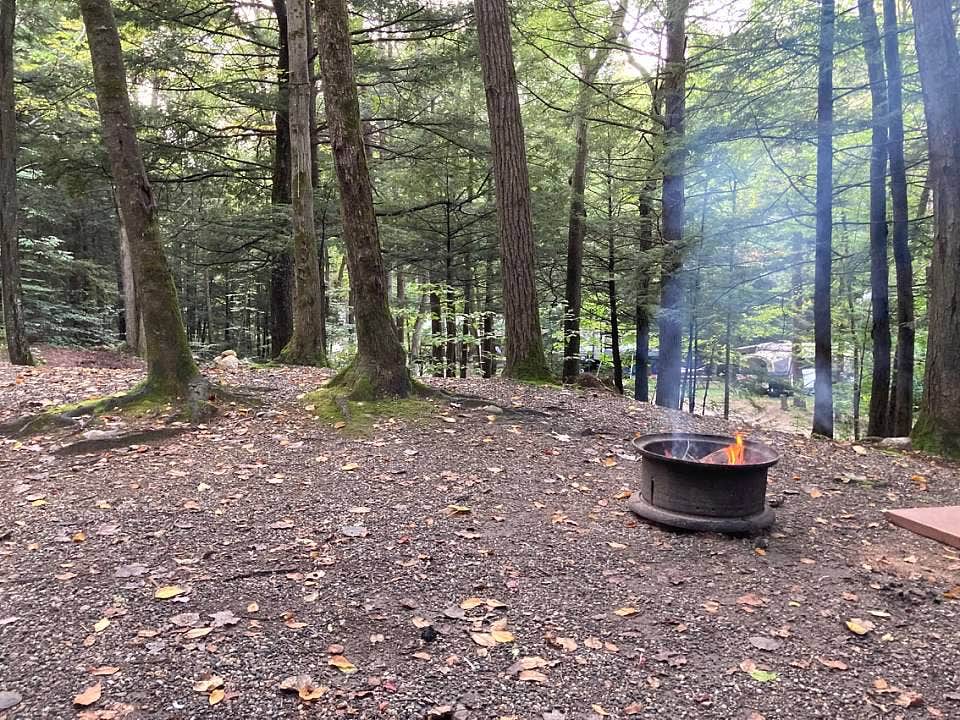 Lisa D.'s photo at Northampton / Springfield KOA near Florence, MA