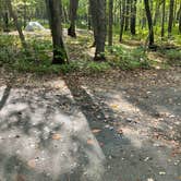 Review photo of Dunewood Campground — Indiana Dunes National Park by Grayson , October 8, 2021