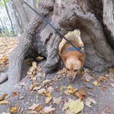 Review photo of Rice Lake Campground — Rice Lake State Park by MARY K., October 8, 2021