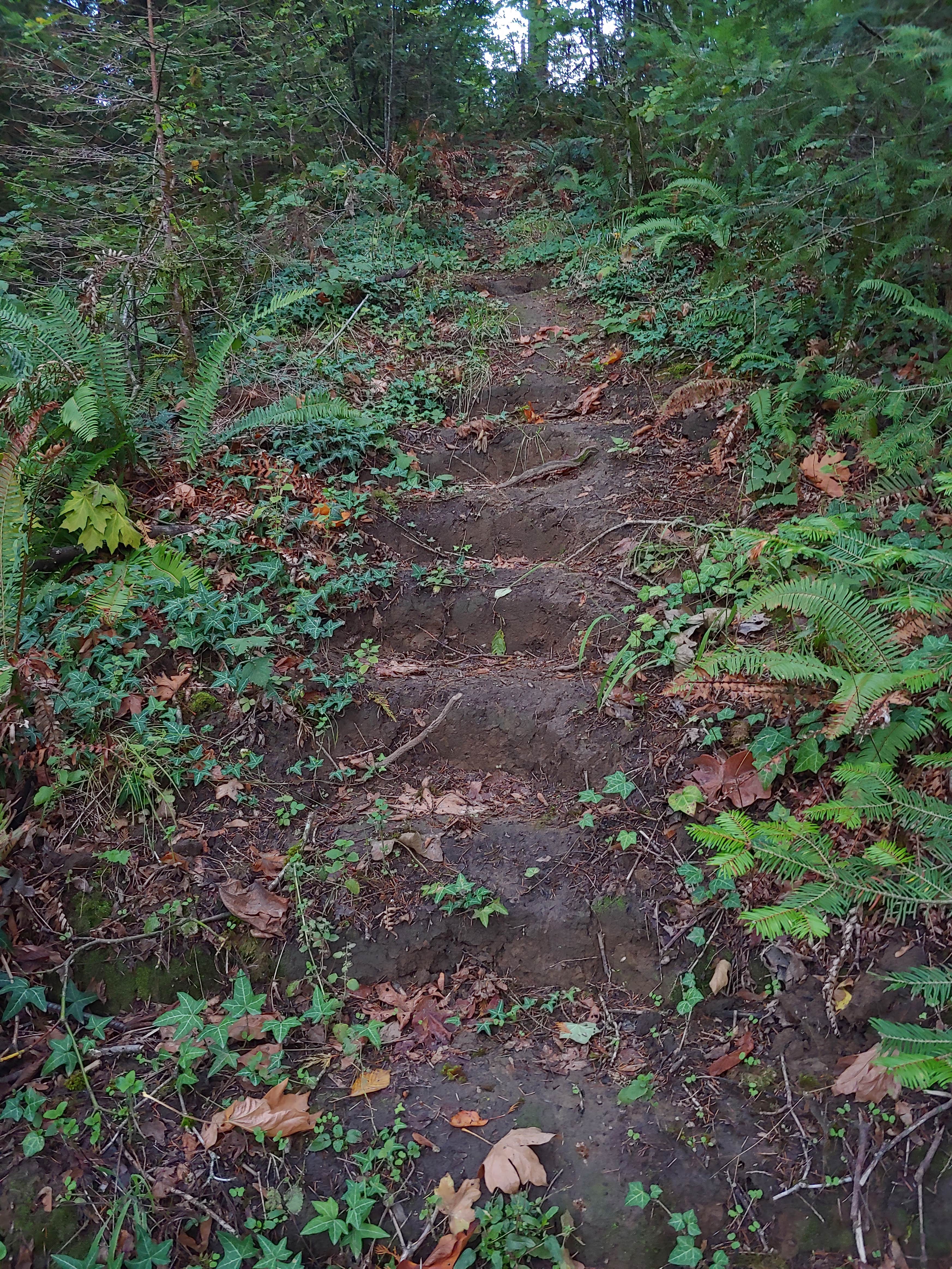 Nature
