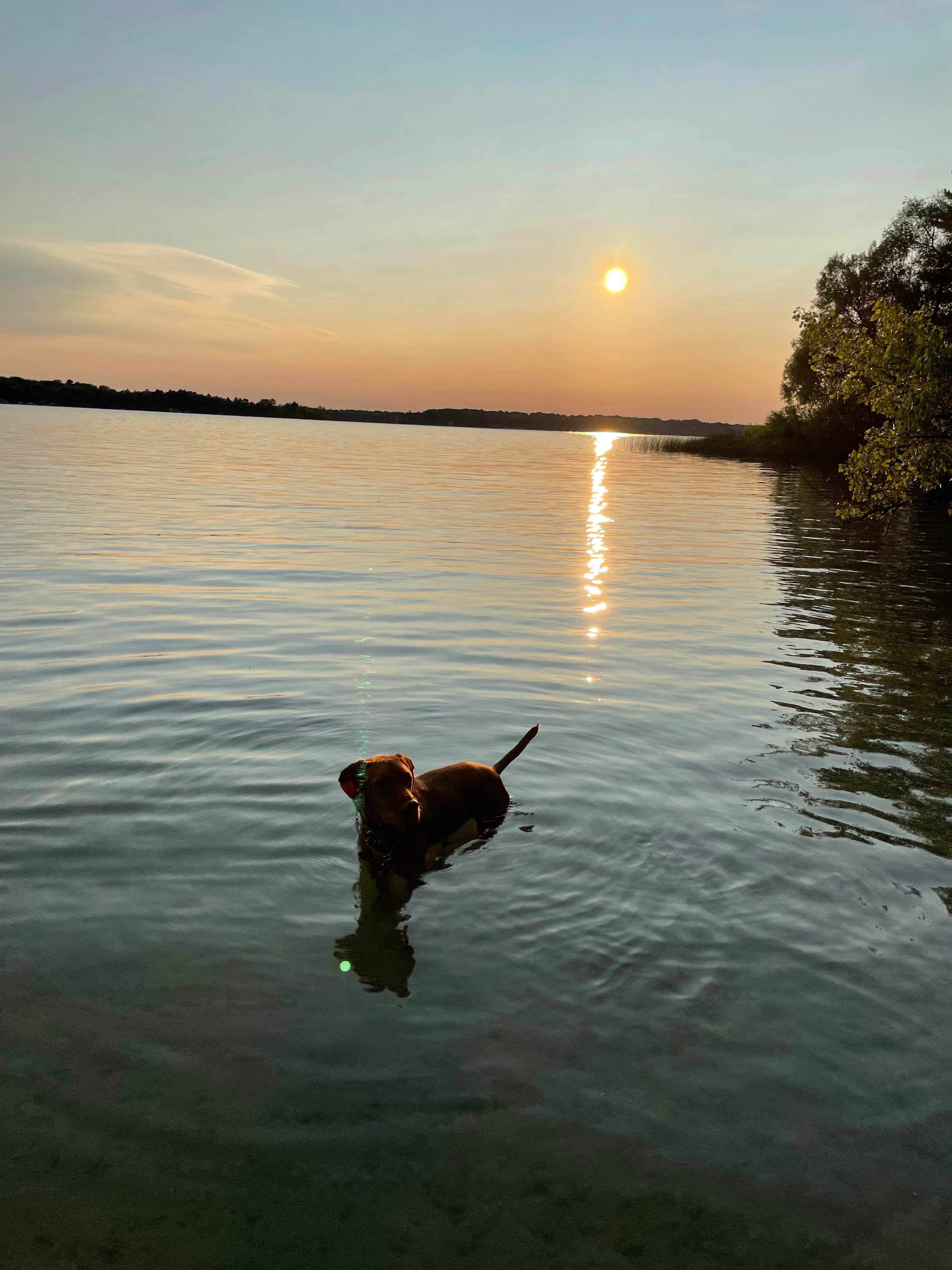 Tracy W.'s photo of camping with pets at Leelanau State Park Campground near Bellaire, MI