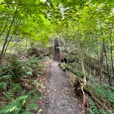 Review photo of Leelanau State Park Campground by Tracy W., October 8, 2021