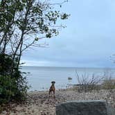 Review photo of Leelanau State Park Campground by Tracy W., October 8, 2021