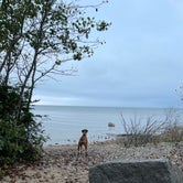 Review photo of Leelanau State Park Campground by Tracy W., October 8, 2021