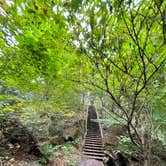 Review photo of Leelanau State Park Campground by Tracy W., October 8, 2021