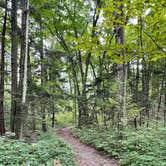 Review photo of Leelanau State Park Campground by Tracy W., October 8, 2021