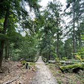 Review photo of Leelanau State Park Campground by Tracy W., October 8, 2021