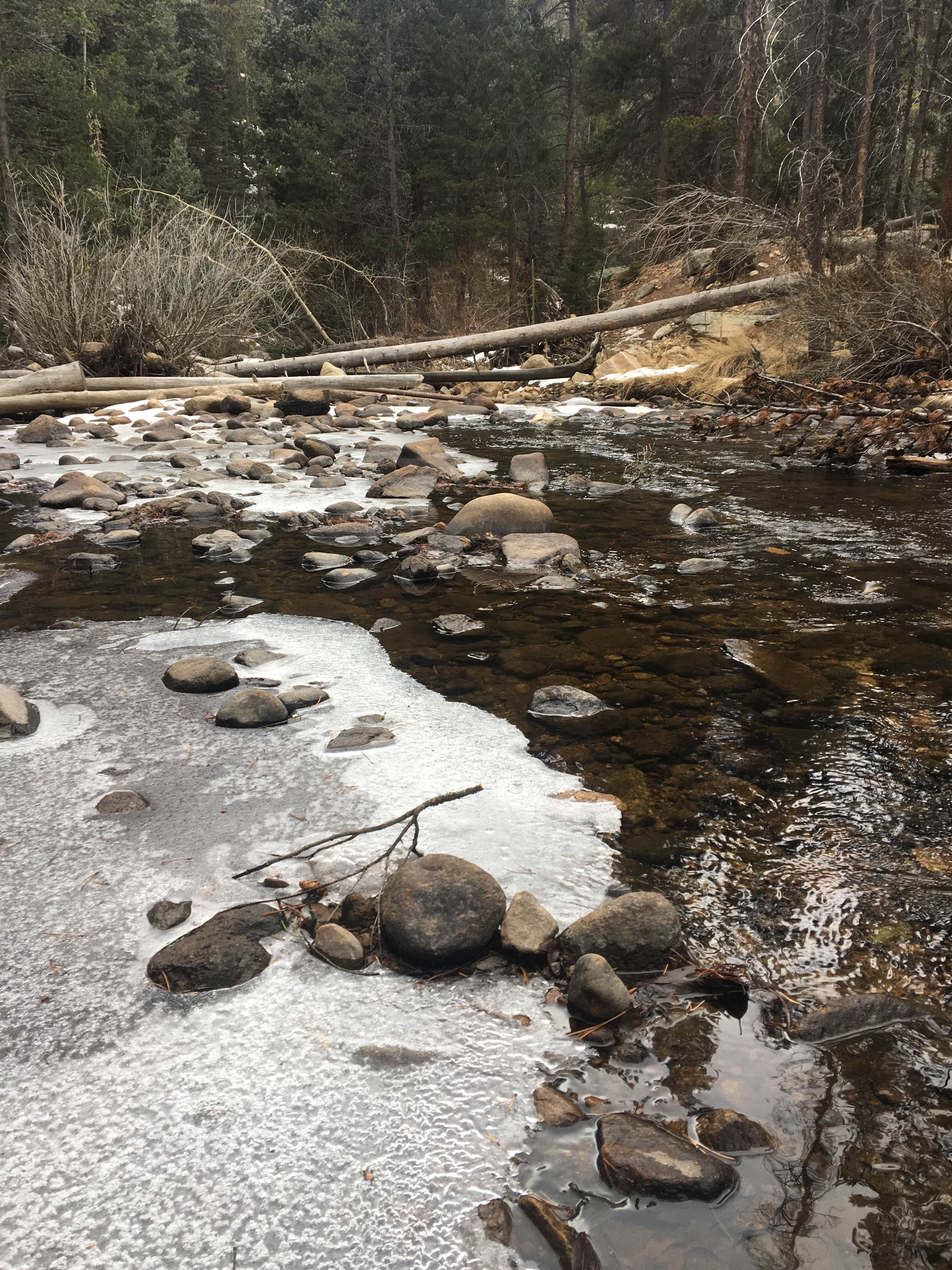 Camper-submitted photo at Ceran St. Vrain Trail Dispersed Camping near Boulder, CO