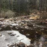 Review photo of Ceran St. Vrain Trail Dispersed Camping by Stephanie R., July 3, 2018