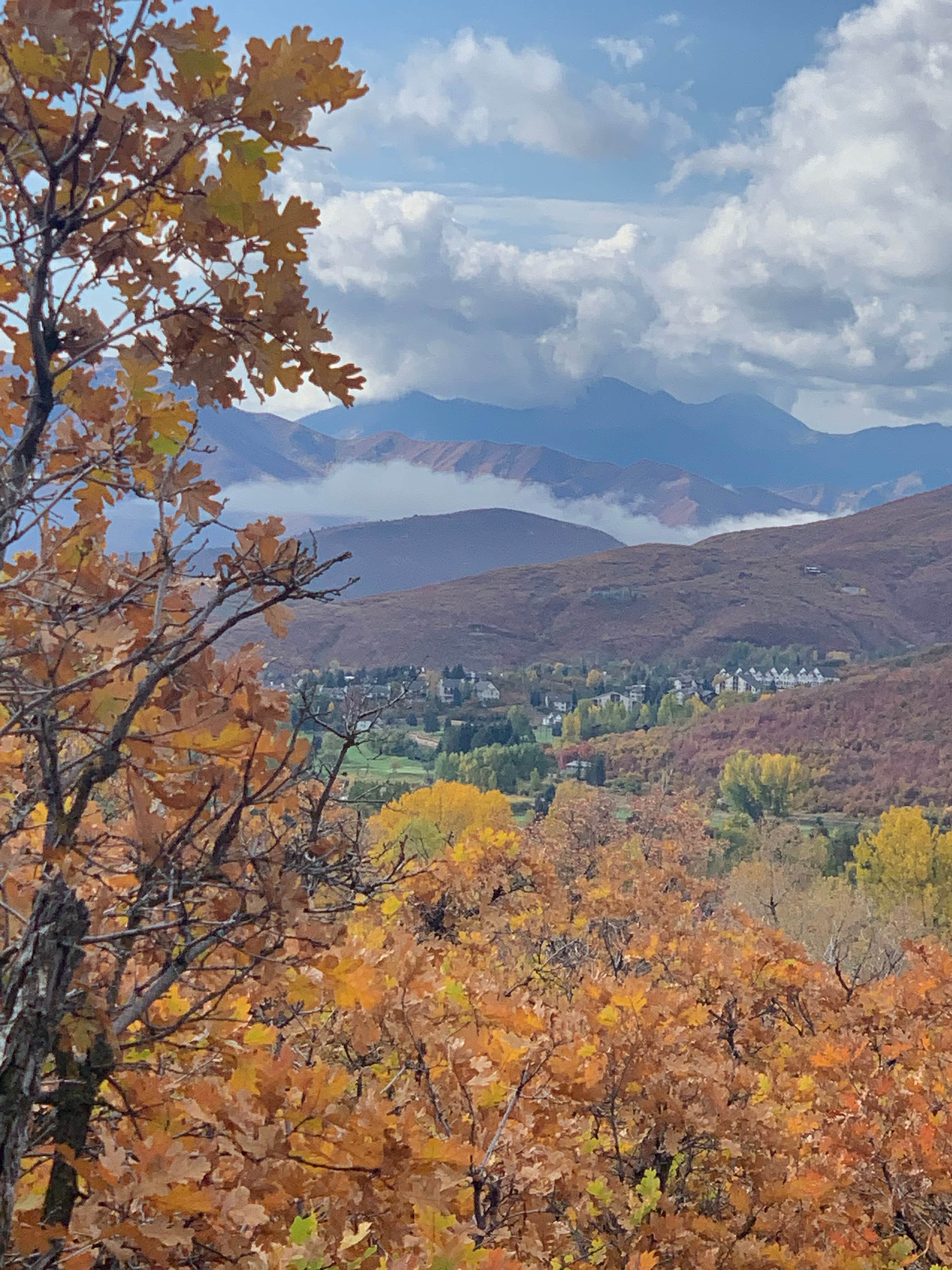Camper submitted image from Pine Creek Campground — Wasatch Mountain State Park - 2