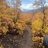 Review photo of Pine Creek Campground in Wasatch State Park by Timothy E., October 8, 2021