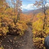 Review photo of Pine Creek - Cottonwood Campground — Wasatch Mountain State Park by Timothy E., October 8, 2021