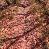 Review photo of Pine Creek Campground in Wasatch State Park by Timothy E., October 8, 2021