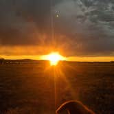 Review photo of Hart Ranch RV Resort by Matthew M., October 8, 2021