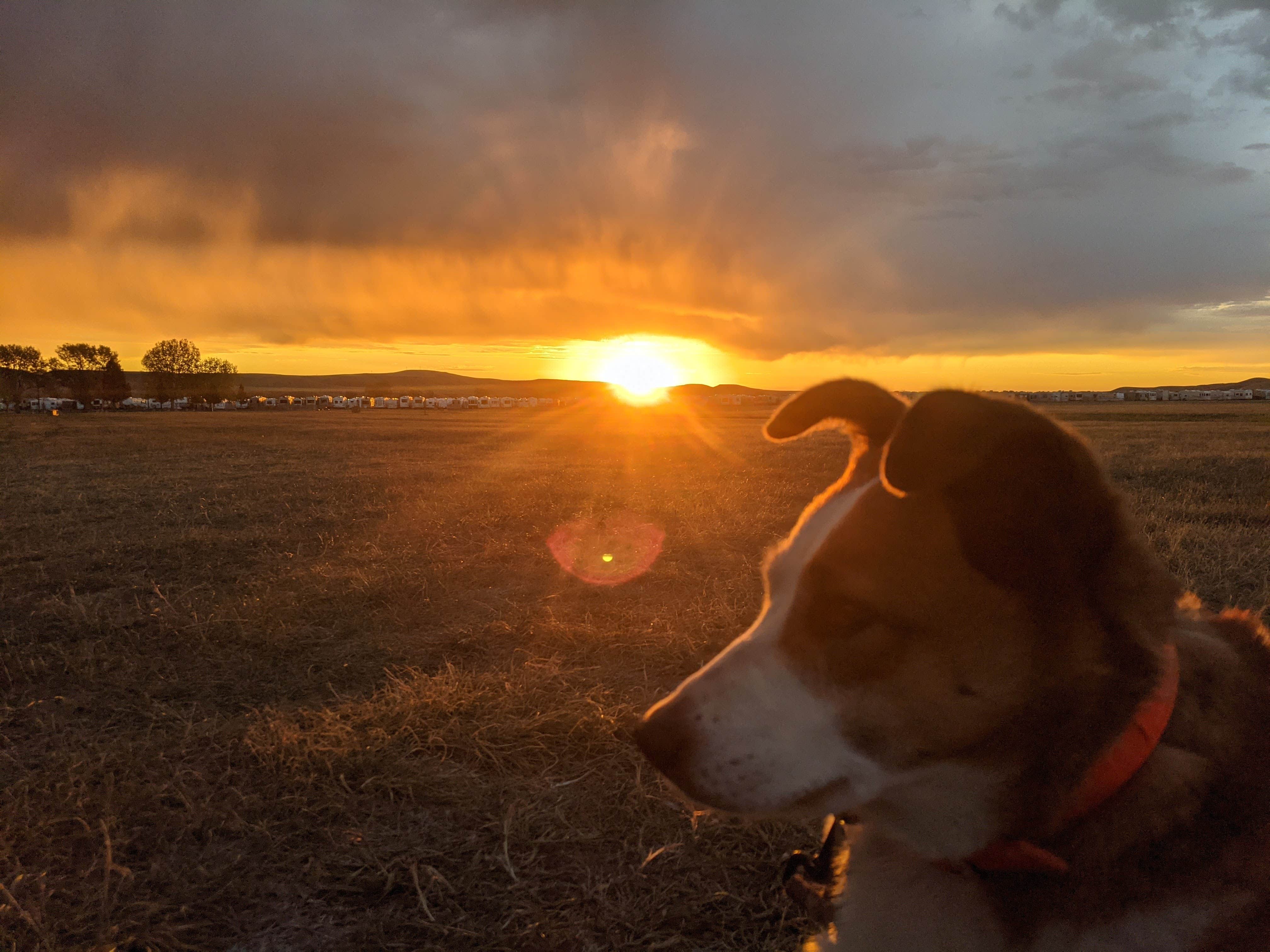 Matthew M.'s photo of camping with pets at Hart Ranch RV Resort near Blackhawk, SD