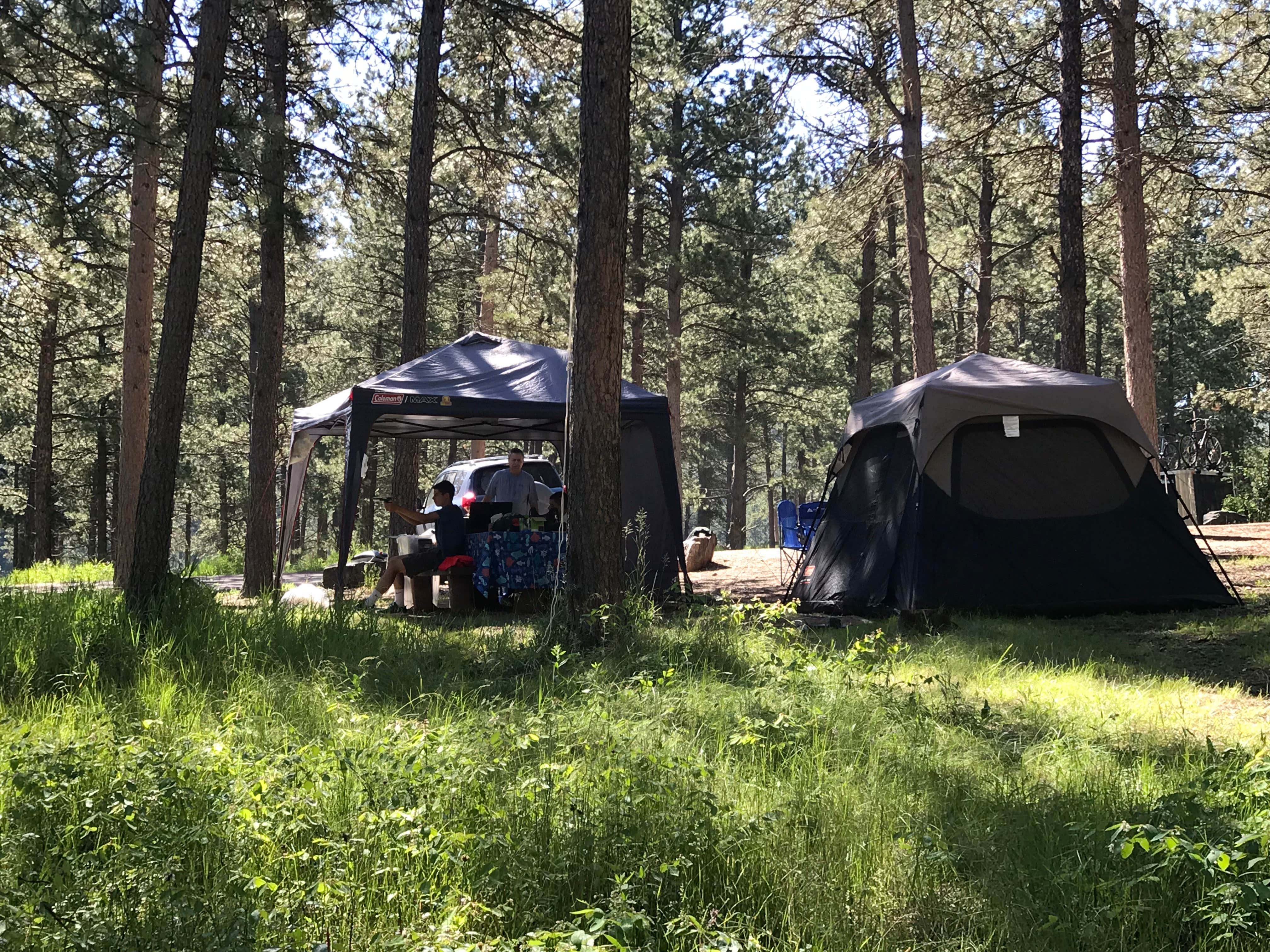 Shari C.'s photo at Pactola Reservoir Campground near Nemo, SD