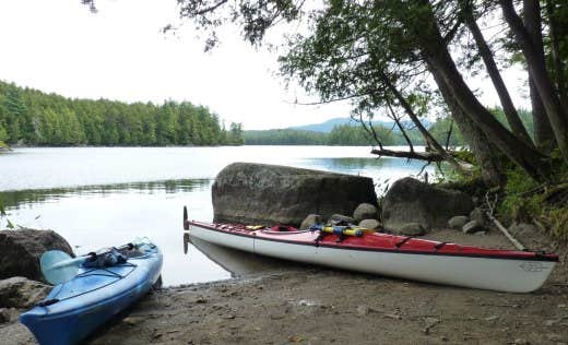 Camper submitted image from Rollins Pond Campground - 4