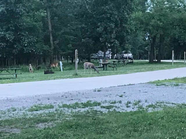 Camper-submitted photo at Honey Creek State Park Campground near Drakesville, IA