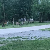 Review photo of Honey Creek State Park Campground by Mitch C., July 3, 2018