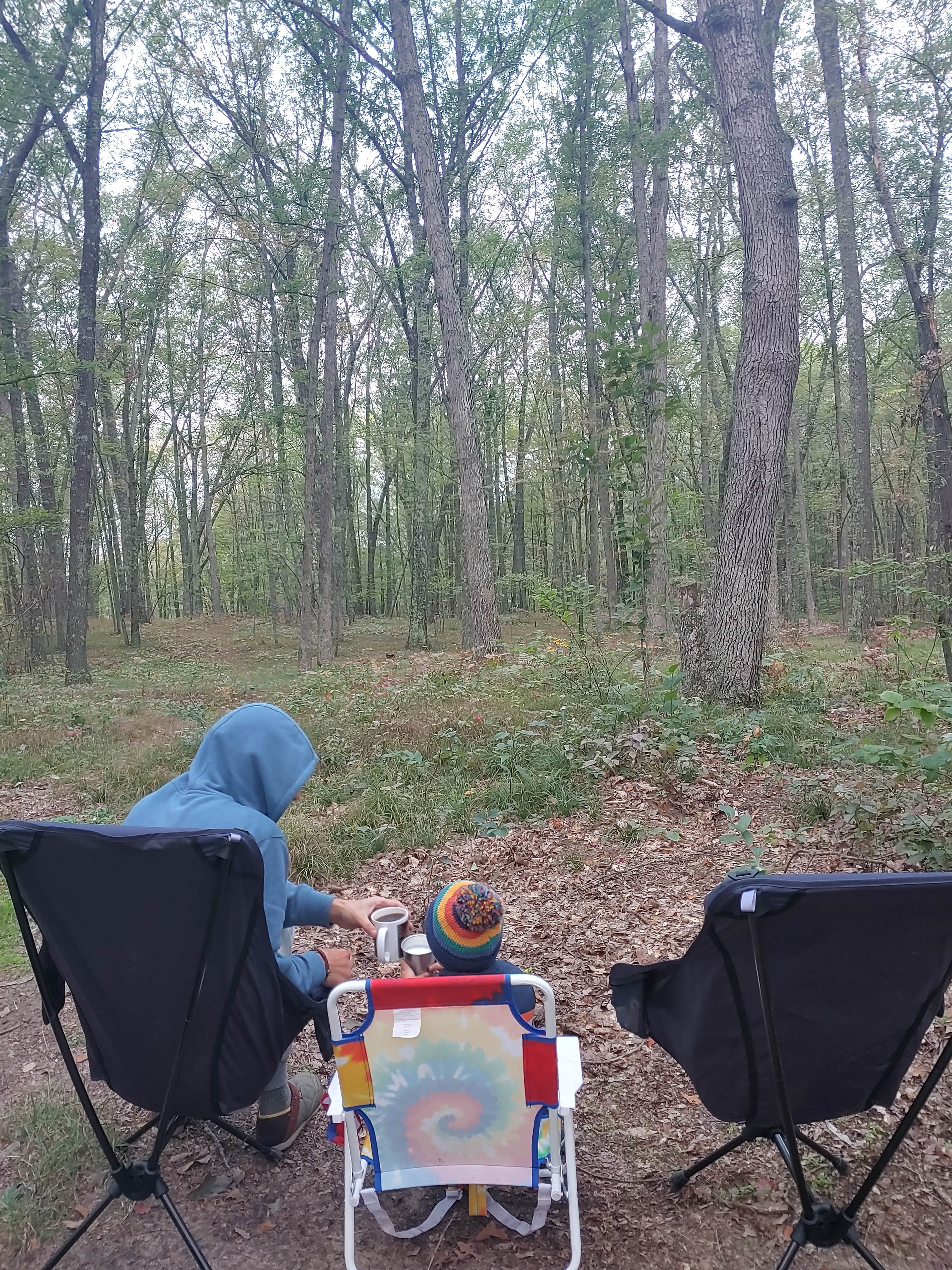 Camper submitted image from Sawkaw Lake - 3