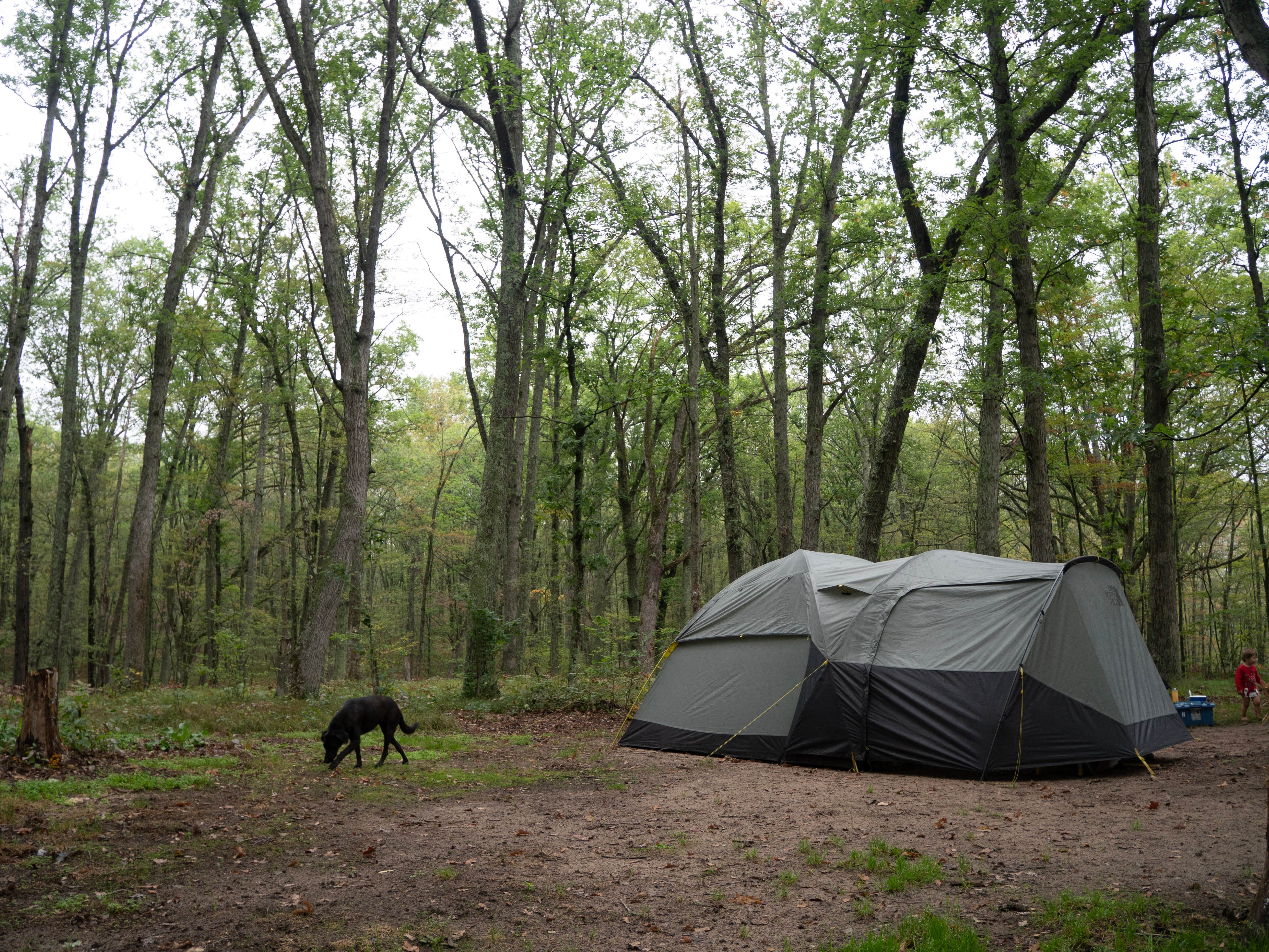 Fiona's photo of a dispersed camping area at Sawkaw Lake near Ludington, MI
