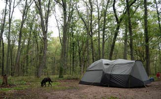 Fiona's photo of a dispersed camping area at Sawkaw Lake near Luther, MI