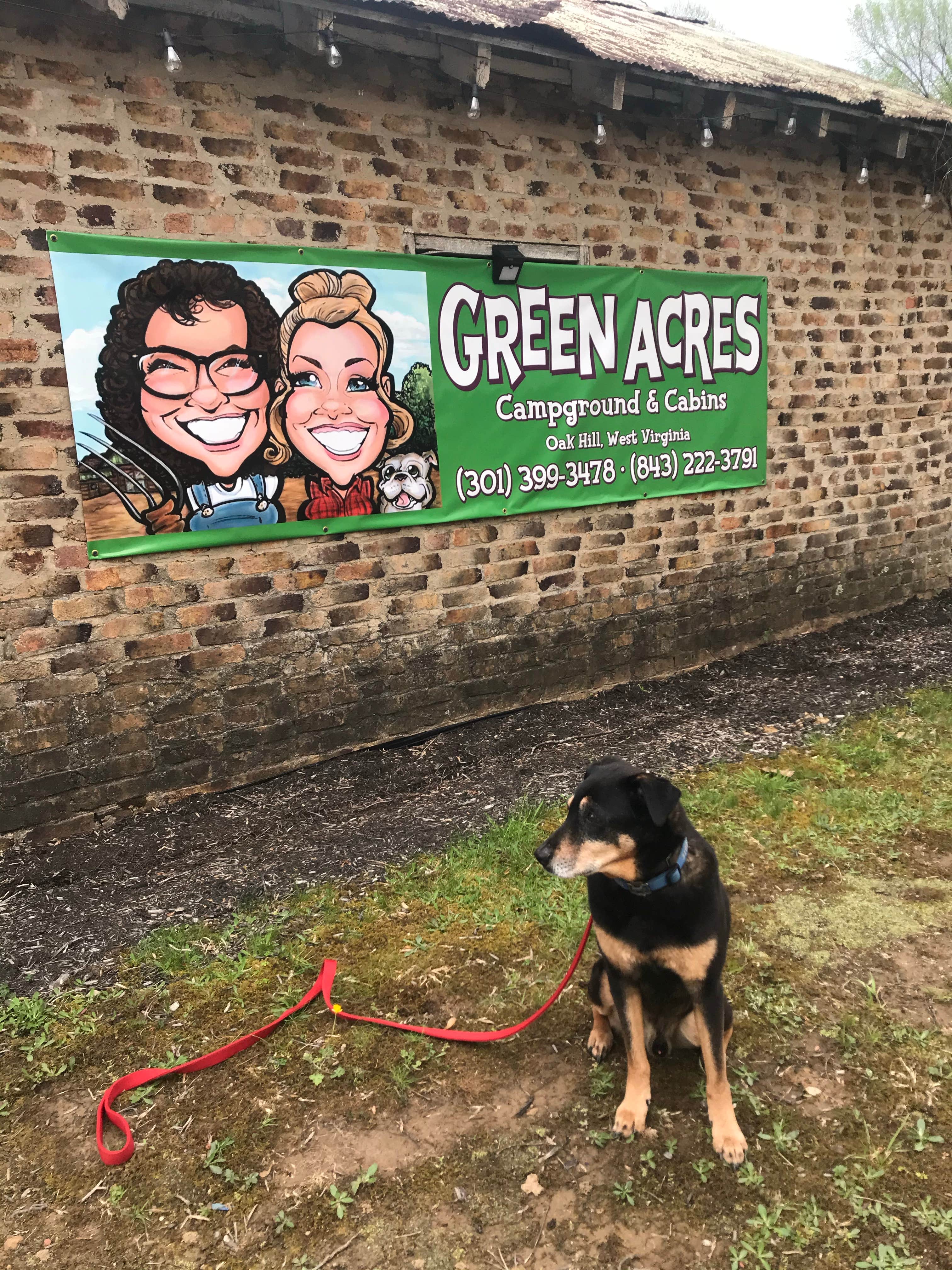 Susan M.'s photo of camping with pets at Green Acres Campground - PERMANENTLY CLOSED near Daniels, WV