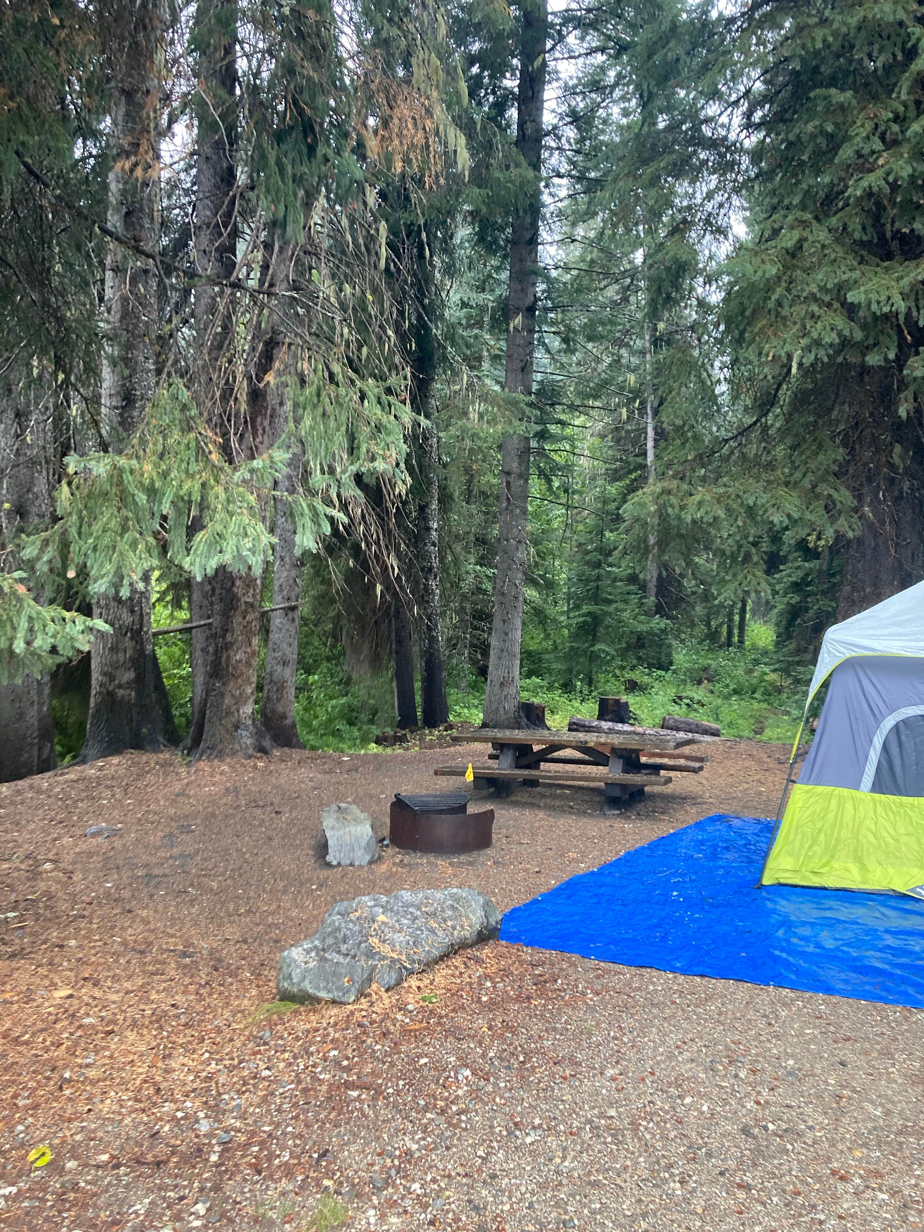 Camper submitted image from Atkinson Flat Campground - 4