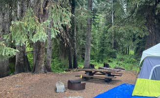 Paul T.'s photo of tent camping at Atkinson Flat Campground near Chelan, WA
