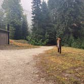 Review photo of Atkinson Flat Campground by Paul T., October 8, 2021