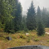 Review photo of Atkinson Flat Campground by Paul T., October 8, 2021