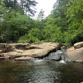 Review photo of Hawn State Park Campground by Erica  P., July 3, 2018