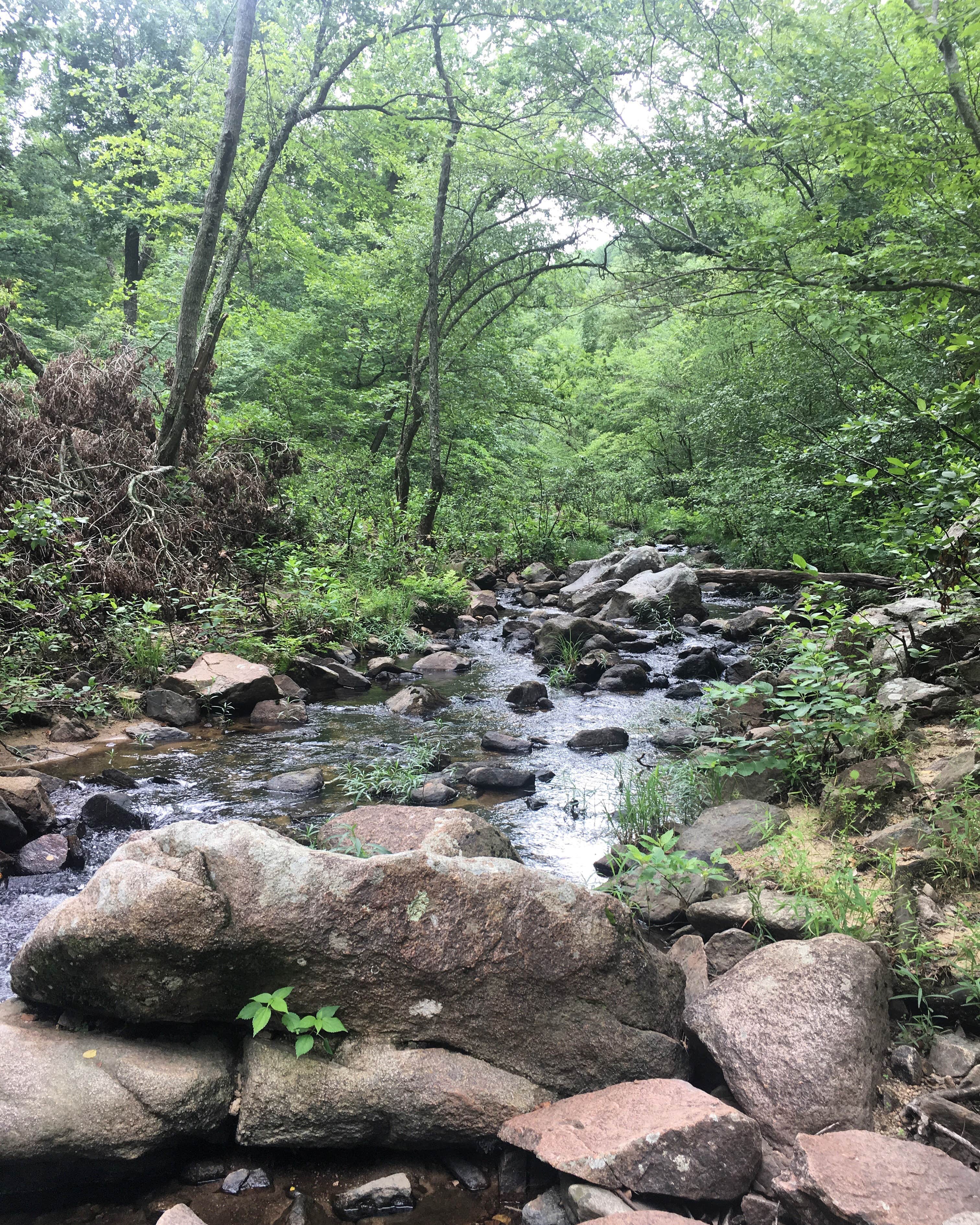 Camper-submitted photo at Hawn State Park Campground in Missouri