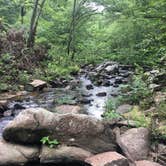 Review photo of Hawn State Park Campground by Erica  P., July 3, 2018