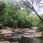 Review photo of Hawn State Park Campground by Erica  P., July 3, 2018