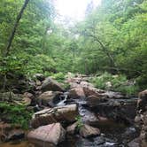 Review photo of Hawn State Park Campground by Erica  P., July 3, 2018