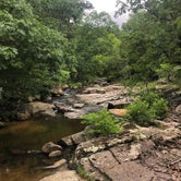 Review photo of Hawn State Park Campground by Erica  P., July 3, 2018